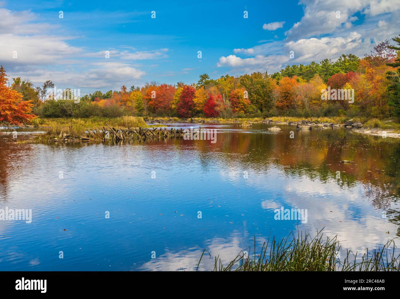 Herbstfarben auf Mount Desert Island in Maine. Stockfoto