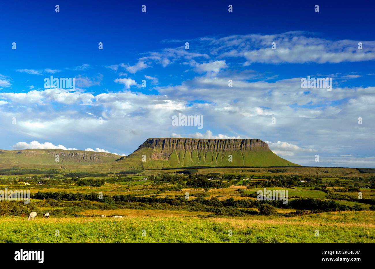 Benbulben Mountain, County Sligo, Irland Stockfoto