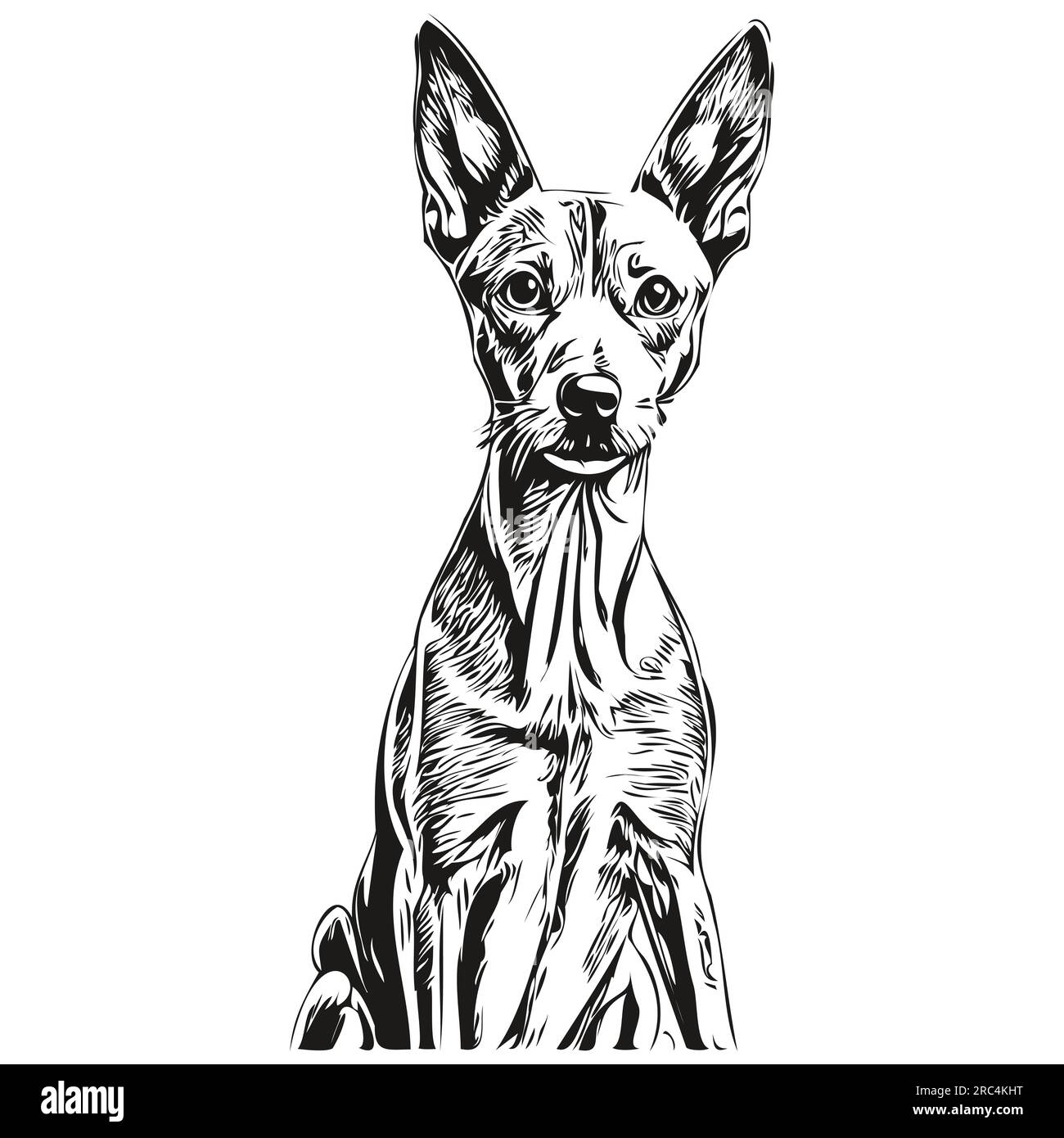 Windhund kunst Stock-Vektorgrafiken kaufen - Alamy
