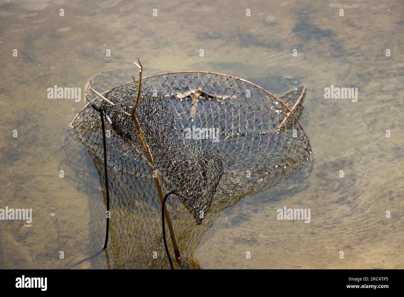 Fisch Altes Netz zur Lagerung von Fisch liegt im Fluss am Ufer der Ukraine im Sommer in der Sonne, Angeln Stockfoto