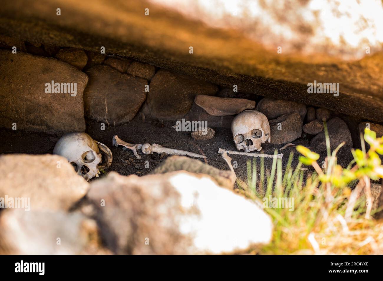 Trockene menschliche Schädel und Knochen bleiben in Höhlenschatten auf felsigem Boden mit Gras an sonnigen Tagen in Madagaskar Afrika Stockfoto