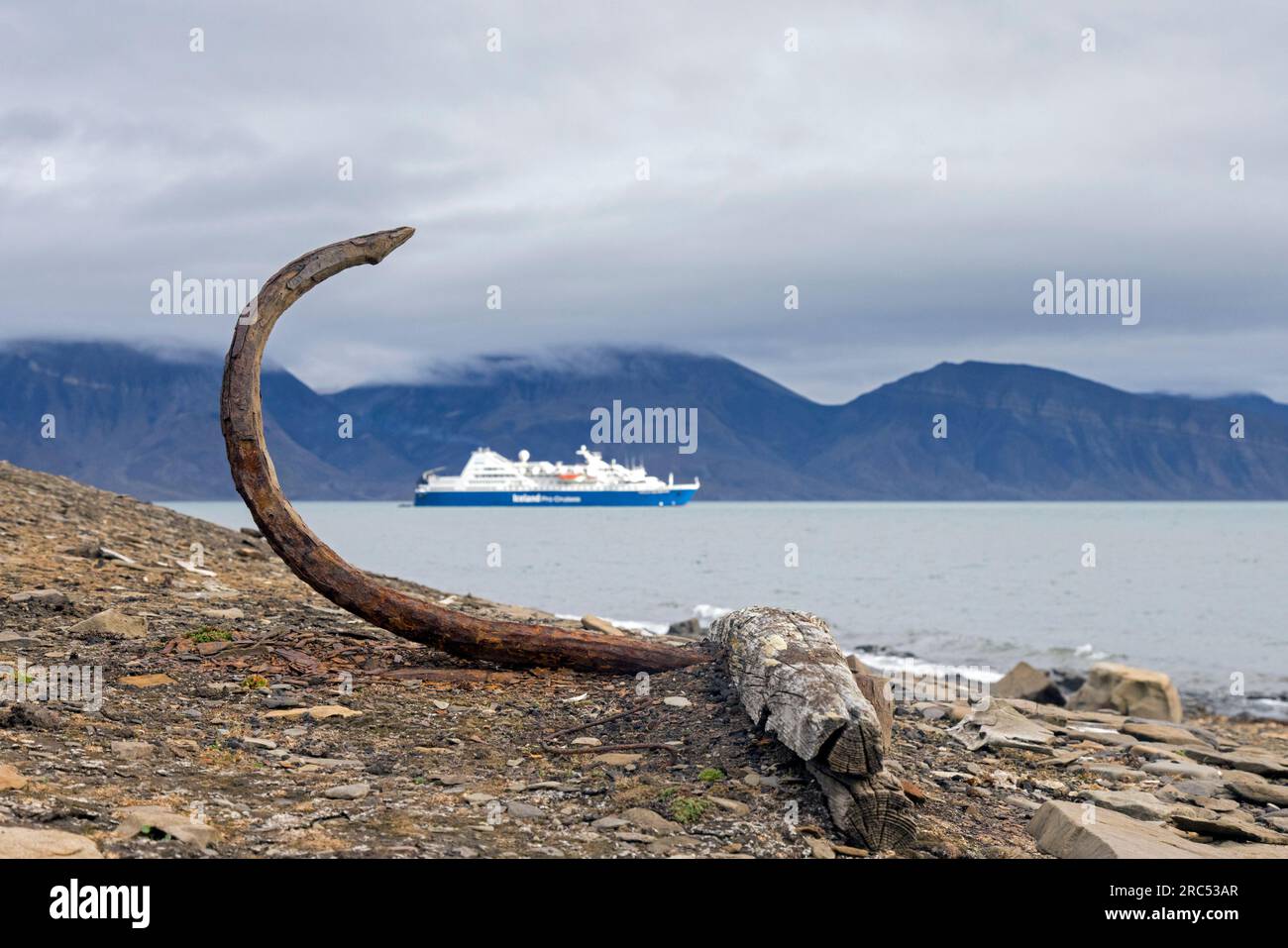 Kreuzfahrtschiff und alter rostiger Anker an der Walfangstation Bamsebu, Ingebrigtsenbukta Bay nahe Kapp Toscana, Bellsund, Svalbard/Spitsbergen, Norwegen Stockfoto