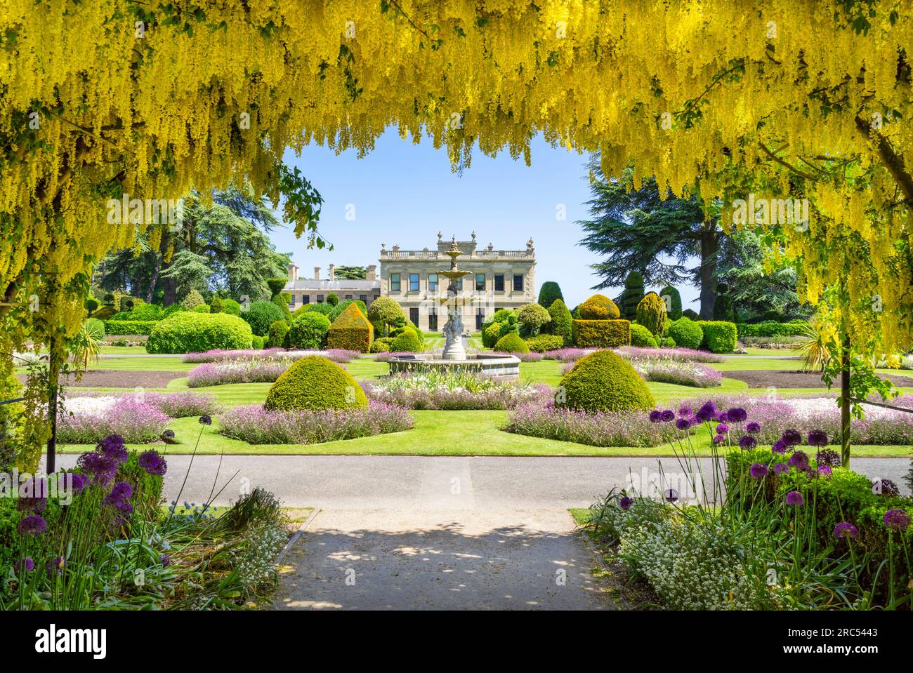 Laburnum Arch in Brodsworth Hall und Gärten in formellen Gärten des viktorianischen Landhauses Brodsworth Hall Doncaster South Yorkshire England UK Stockfoto