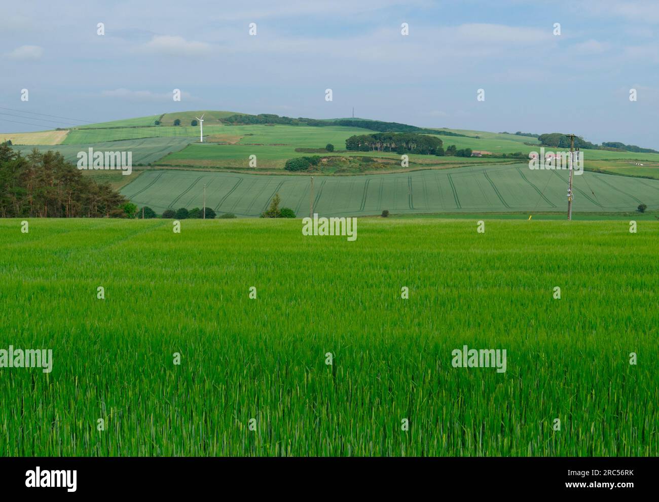Ackerbau, Aberdeenshire Stockfoto