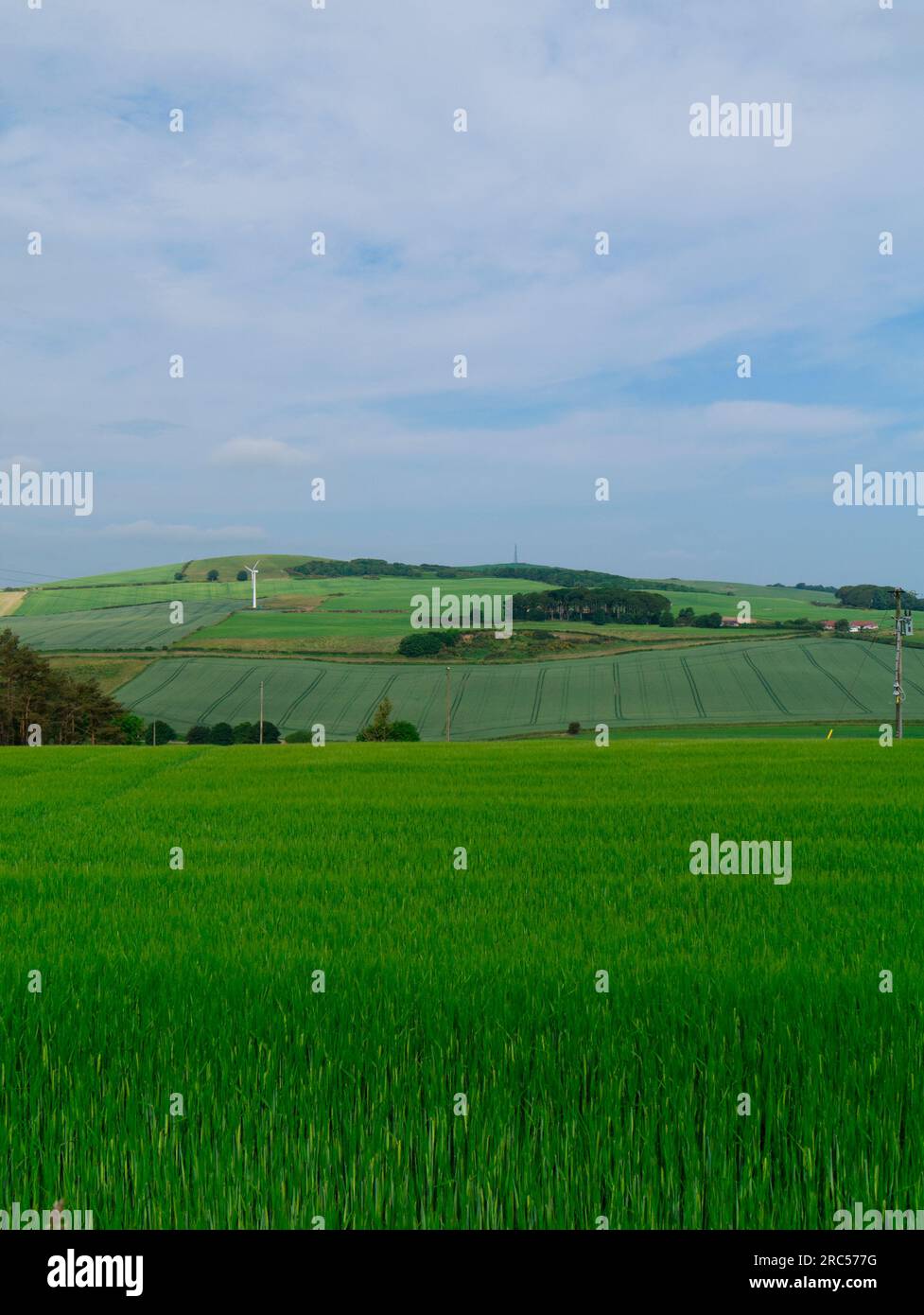 Ackerbau, Aberdeenshire Stockfoto