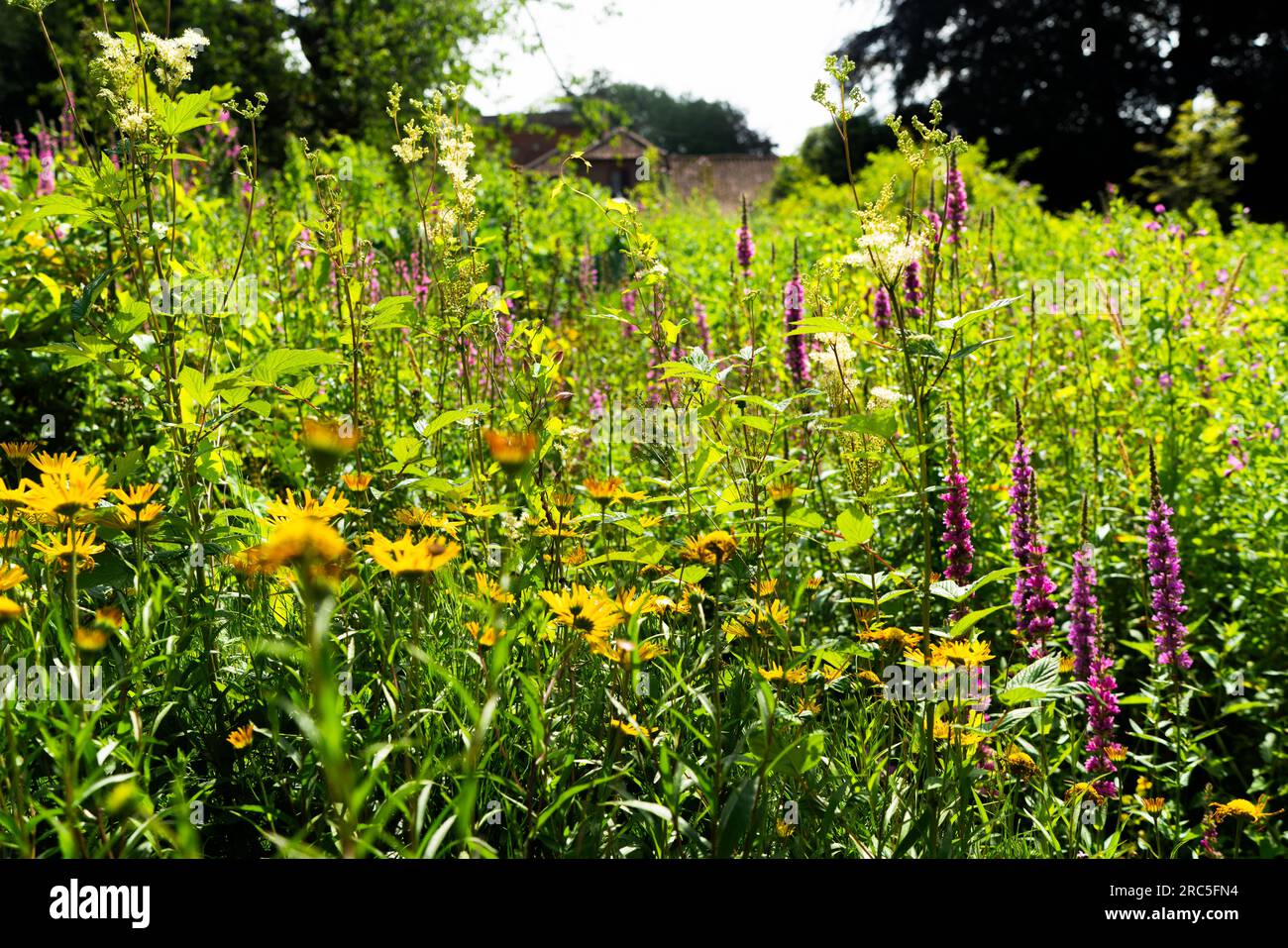 English Country Garden Stockfoto