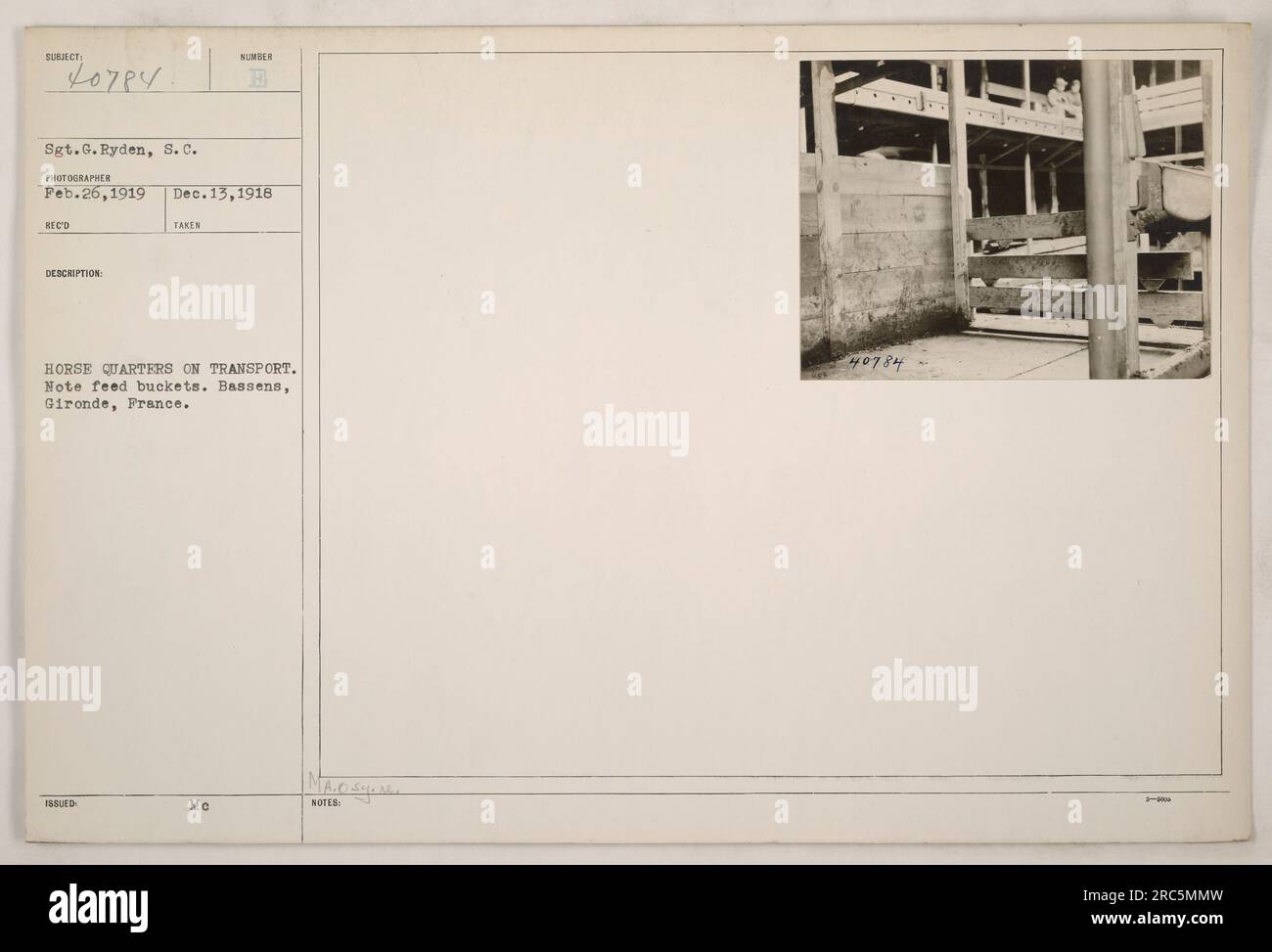 Bild von Sergeant G. Ryden im Pferdequartier am Hafen in Bassens, Gironde, Frankreich. Das Foto wurde am 26. Februar 1919 aufgenommen und am 13. Dezember 1918 ausgestellt. Die Beschreibung hebt hervor, dass im Bild Vorschubklassen vorhanden sind. Stockfoto
