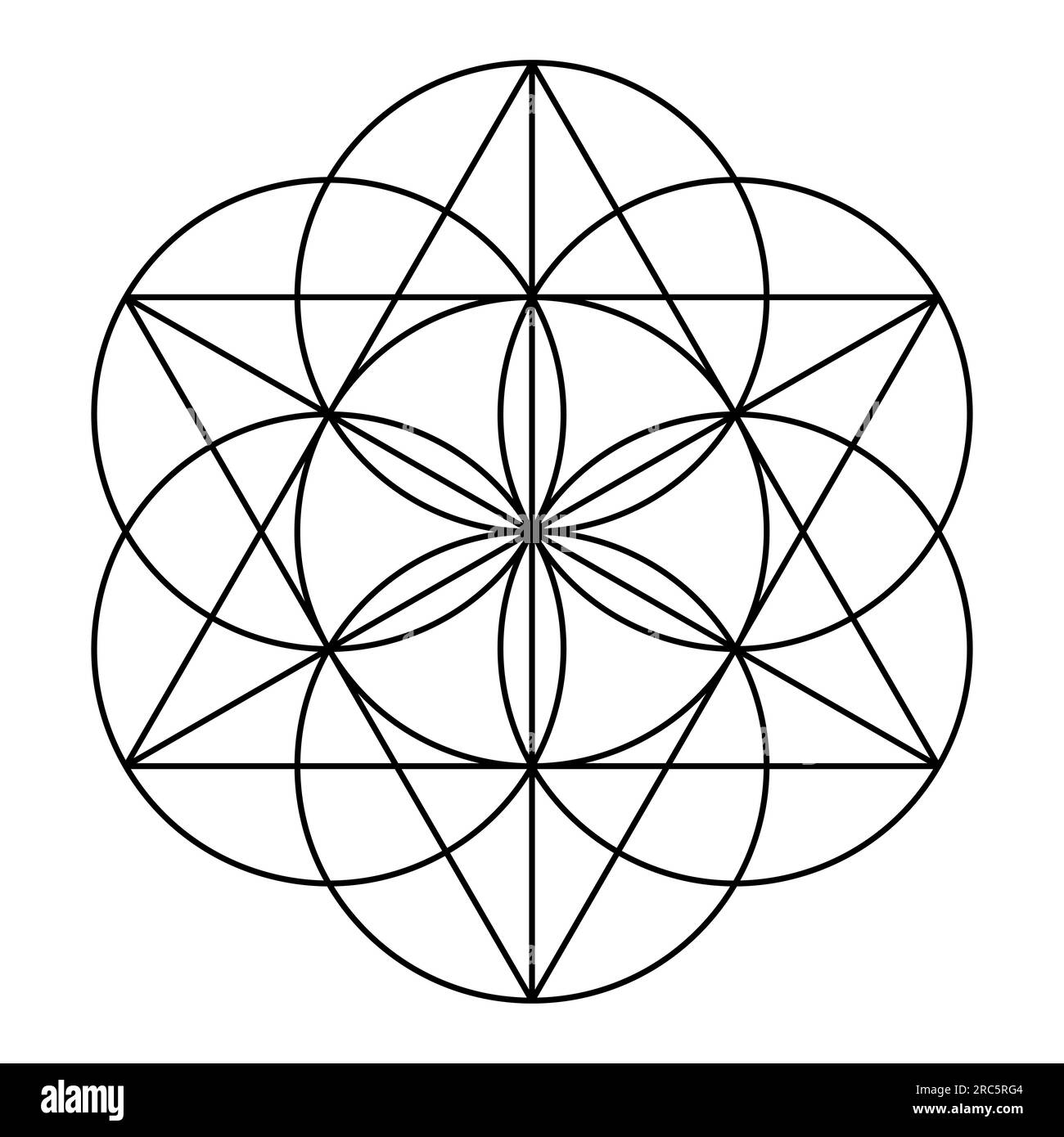 Samen des Lebens, sieben überlappende Kreise, bilden die Grundform, um ein Hexagramm (Sexagramm), eine alte geometrische Figur und Heilige Geometrie zu schaffen. Stockfoto