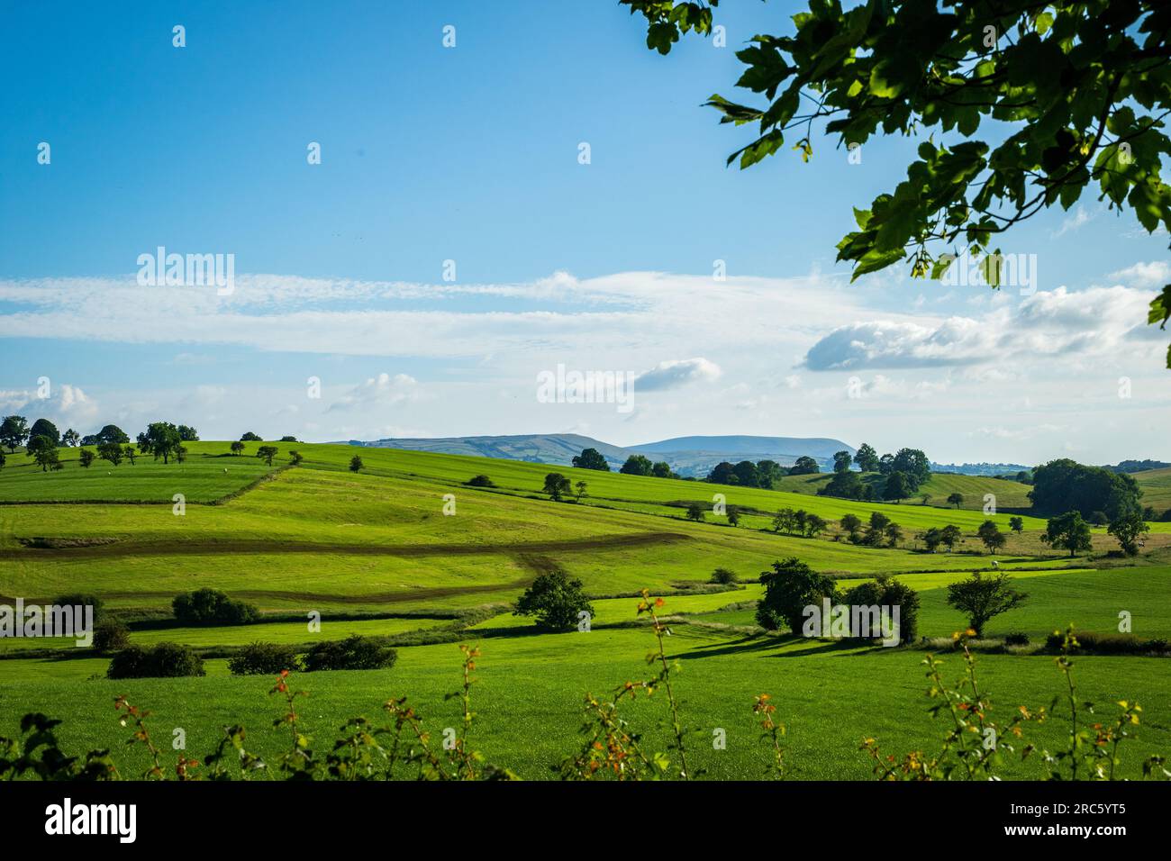 Fantastische Aufnahmen der Natur in North Yorkshire Stockfoto