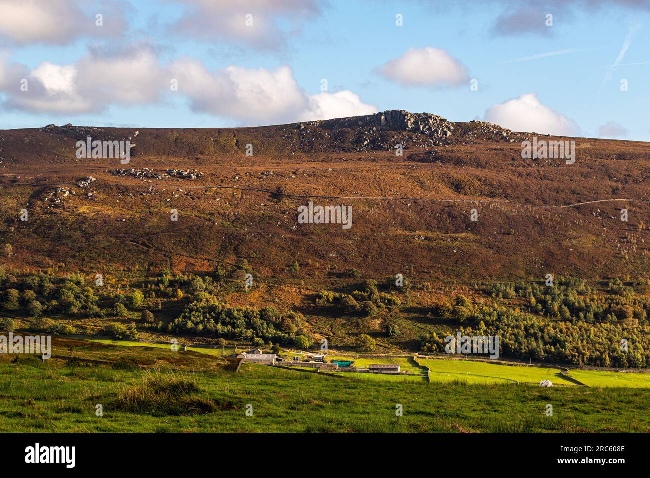 Atemberaubende Aufnahmen der Natur in Yorkshire mit einer Kamera Stockfoto