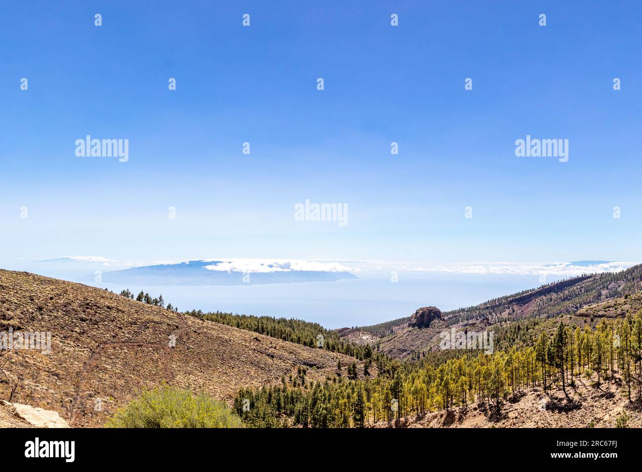 Fantastische Aufnahmen auf Teneriffa, aufgenommen mit einer Kamera Stockfoto