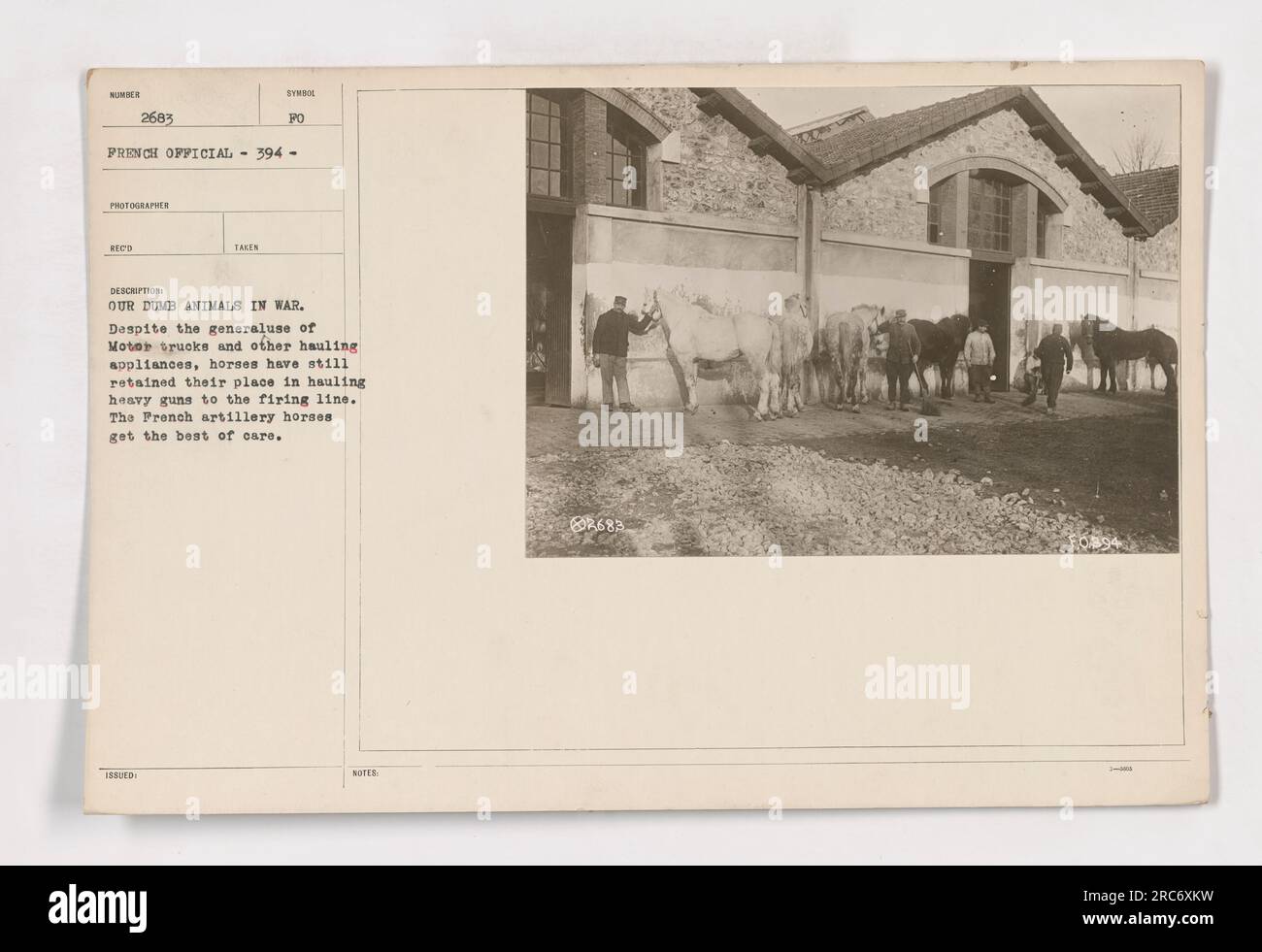 Französische Artilleriepferde, die im Ersten Weltkrieg die beste Pflege erhielten Trotz der Einführung von Lastwagen wurden Pferde immer noch benutzt, um schwere Waffen zur Schusslinie zu schleppen. Bild mit der Bezeichnung 111-SC-2683, aufgenommen von einem französischen Beamten und empfangen von einem Fotografen. Beschriftung basierend auf Bildbeschreibung. Stockfoto