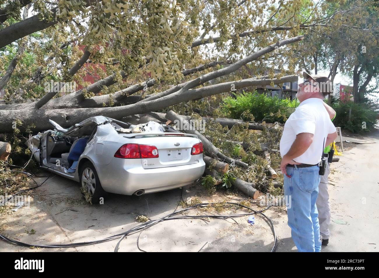 St. Louis, Usa. 12. Juli 2023. Stadtbeamte inspizieren einen Baum, der auf ein Auto fiel und eine Frau während eines schweren Sturms am 1. Juli 2023 tötete, während er auf dem Auto bleibt, unberührt in St. Louis am Mittwoch, den 12. Juli 2023. Der Baum tötete Katherine Coen (33), als er auf das Auto fiel, in dem sie während eines Regensturms und starker Winde saß. Zeugen versuchten, 911 um Hilfe zu bitten, konnten aber fast eine Stunde lang nicht zu den Vermittlern durchkommen. Der Vorfall veranlasste Stadtbeamte, ein alterndes 911-Notrufsystem zu ändern. Foto: Bill Greenblatt/UPI Credit: UPI/Alamy Live News Stockfoto