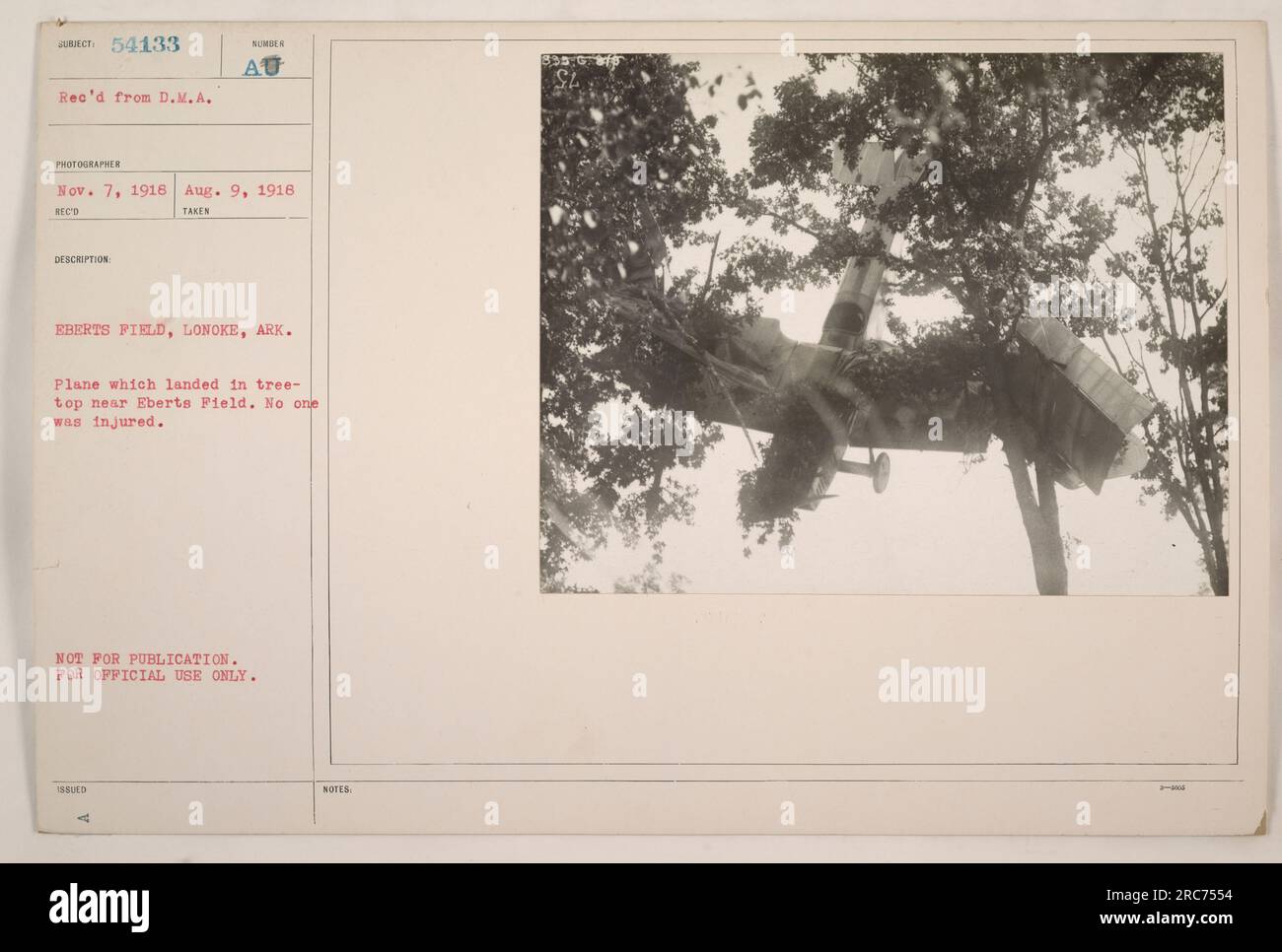 Ein Flugzeug, das auf einem Baum in der Nähe von Eberts Field in Lonoke, Arkansas, gelandet ist. Der Vorfall ereignete sich am 9. August 1918, und es wurden keine Verletzungen gemeldet. Das Foto wurde am 7. November 1918 vom D.M.A-Fotografen empfangen. Dieses Bild ist nicht zur Veröffentlichung bestimmt und nur für den offiziellen Gebrauch bestimmt. Stockfoto