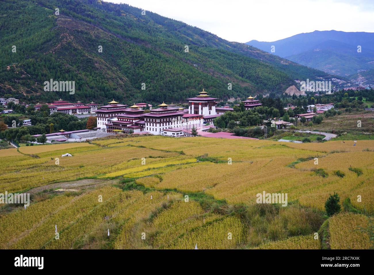 Tashichho Dzong mit terrassenförmigen Reisfeldern im Vordergrund, bewaldete Berge dahinter, Thimphu, Bhutan. Sitz von Regierungsbüros und buddhistischer Mönchskörper. Stockfoto
