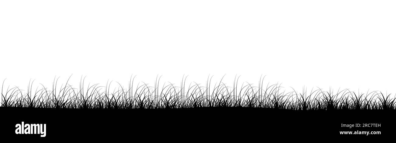Panorama-Hintergrunddesign für Wiesengras Stock Vektor