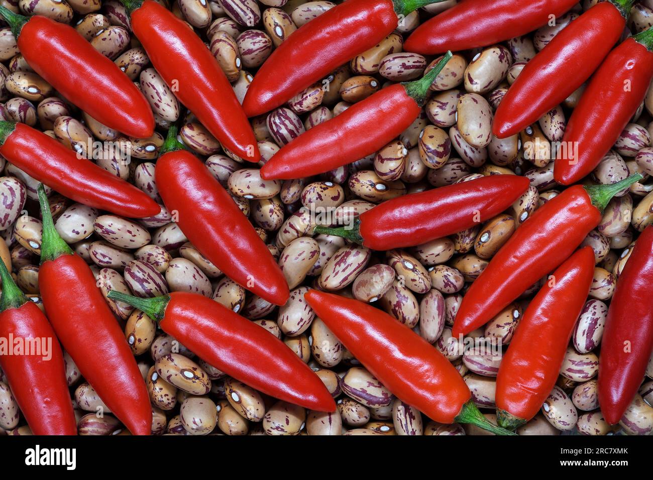 Eine flache Draufsicht auf einen Haufen frischer, roher, ungekochter roter Chilischoten und Borlottibohnen, die den Rahmen in sanfter Beleuchtung mit Kopierraum füllen Stockfoto