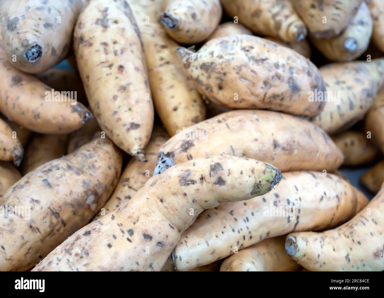 Ein Haufen Süßkartoffeln, Ipomoea batata, im Supermarkt in Yogyakarta, Indonesien Stockfoto