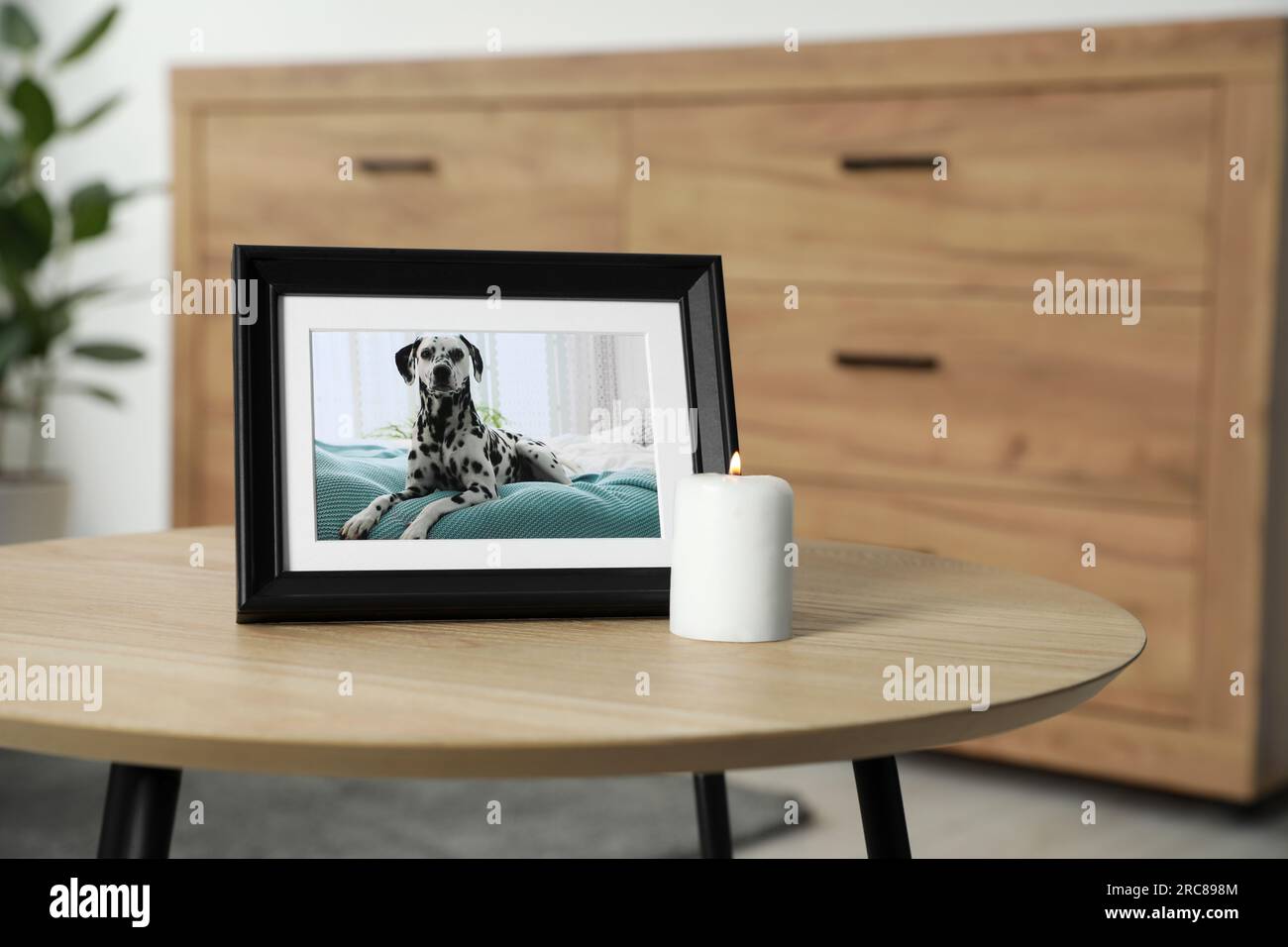 Rahmen mit Bild eines Hundes und brennender Kerze auf Holztisch im Innenbereich. Haustierbeerdigung Stockfoto