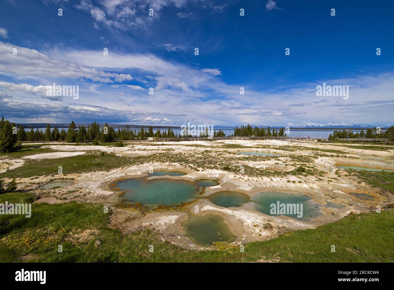 Ein heller, sonniger Juni im West Thumb Geyser Basin im Yellowstone-Nationalpark in Teton County, Wyoming, USA. Der Mimulus-Pool befindet sich im Vordergrund. Stockfoto