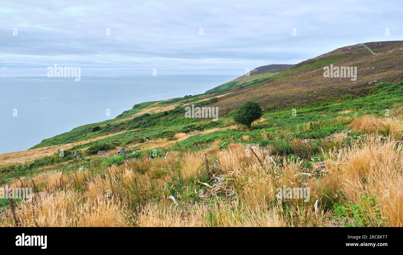 Badbea Highland Clearances Dorfsruinen Stockfoto