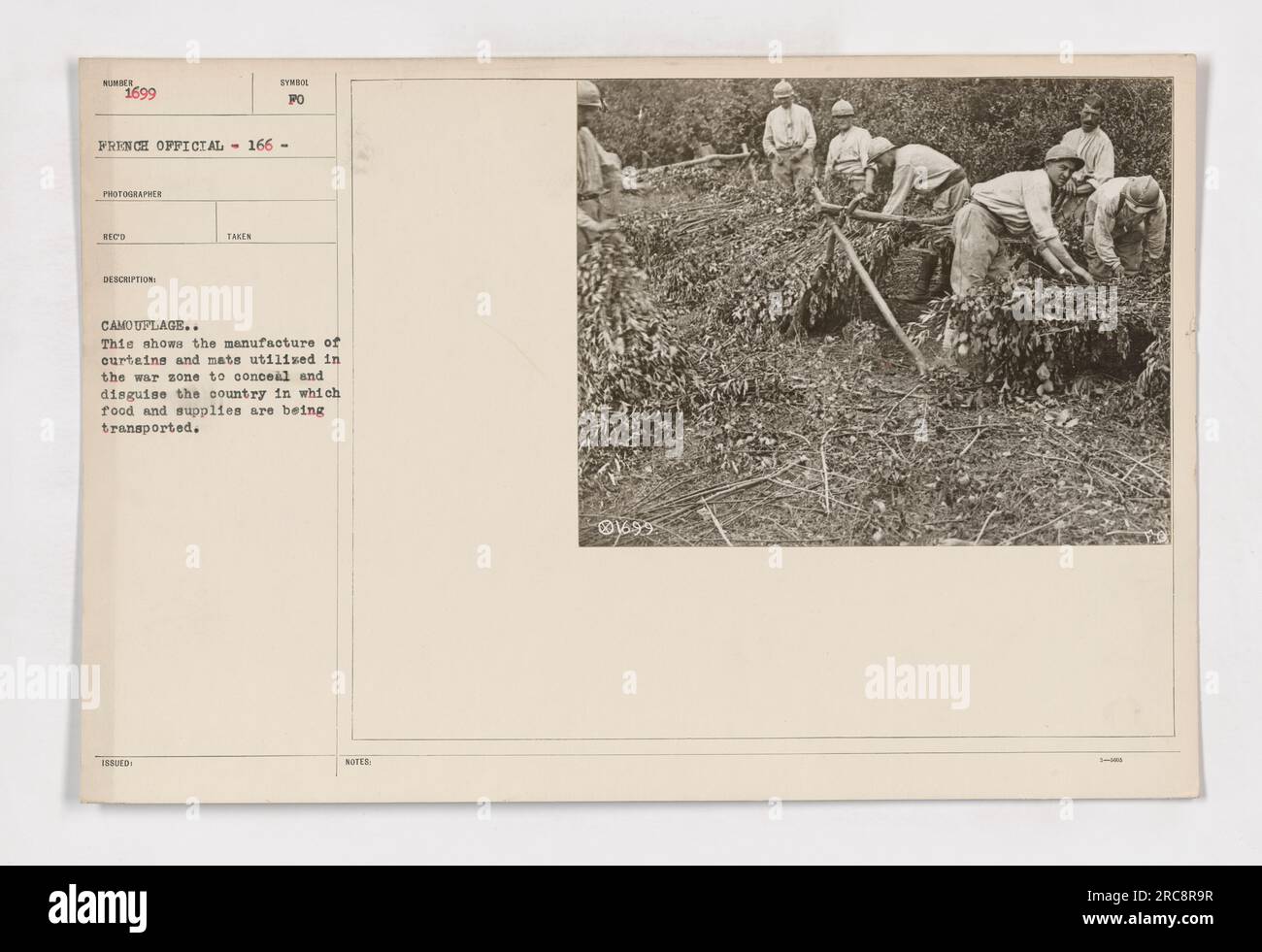 Jemmytu Schildkröten Wasserspender 4-in-1 - Futter & Wasser Trennung Für Reptilien