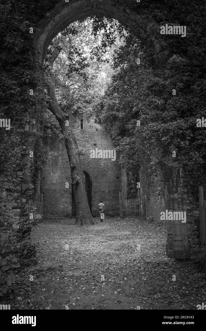 Frau steht in den Ruinen der Kirche St. Mary's East Somerton, Norfolk. Stockfoto