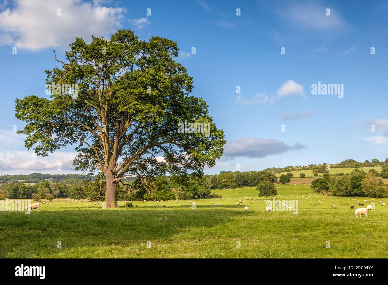 Geografie/Reisen, Großbritannien, Gloucestershire, Broadway, Feldlandschaft nahe Broadway, ADDITIONAL-RIGHTS-CLEARANCE-INFO-NOT-AVAILABLE Stockfoto