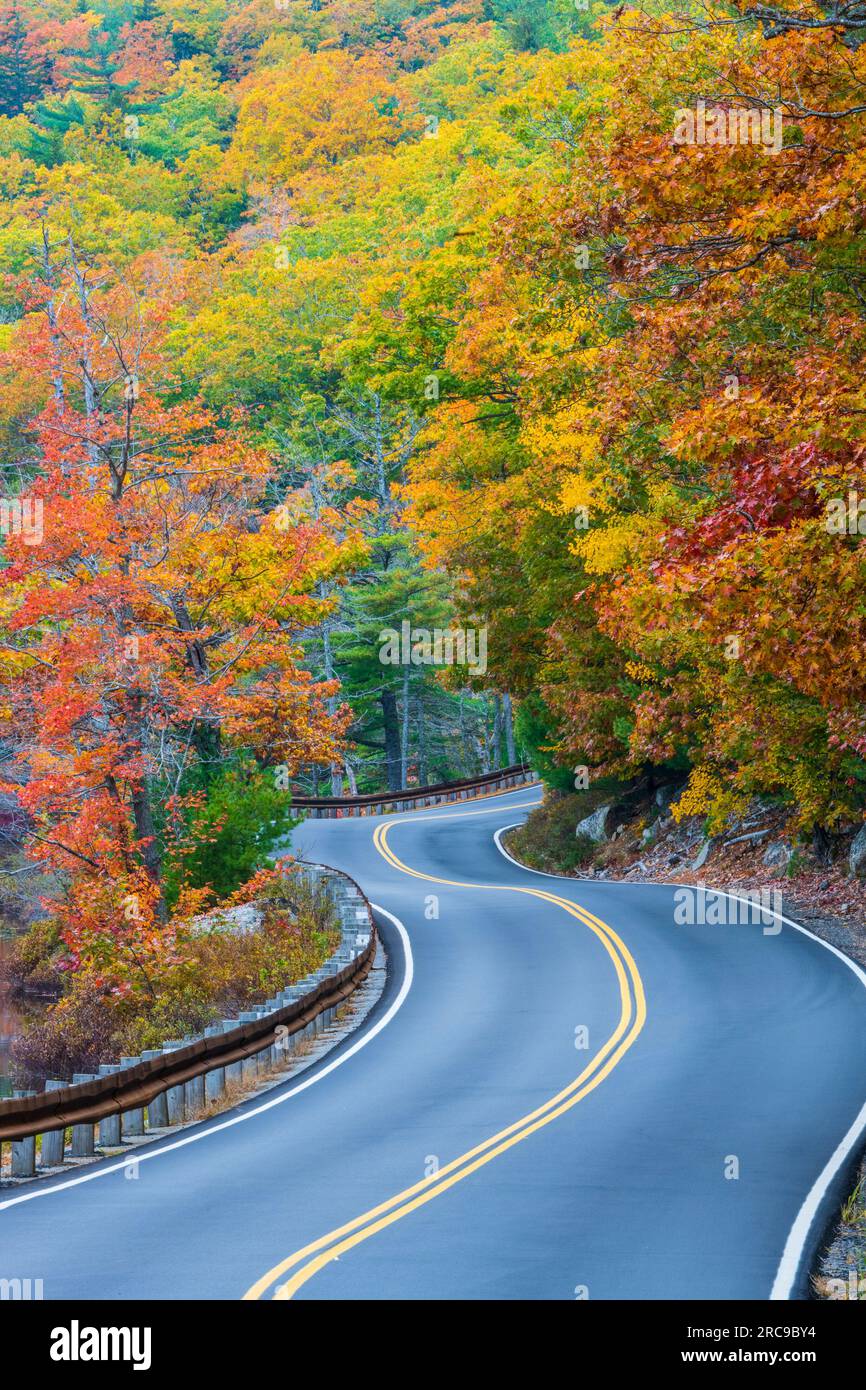Herbstfarben auf Mount Desert Island in Maine. Stockfoto