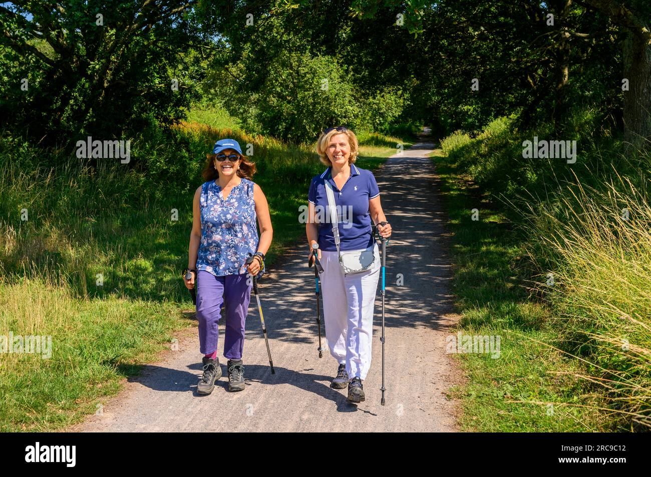 Zwei glückliche weibliche Wanderer mittleren Alters auf dem Downs Link Pfad, einer stillgelegten Bahnlinie. West Grinstead, West Sussex, England. Stockfoto
