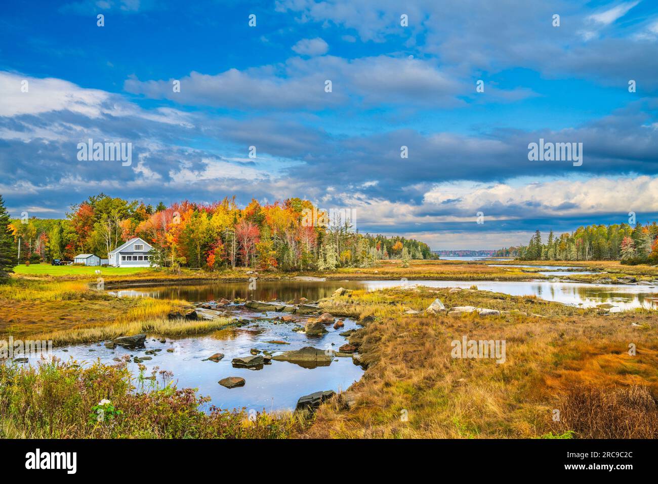 Herbstfarben auf Mount Desert Island in Maine. Stockfoto