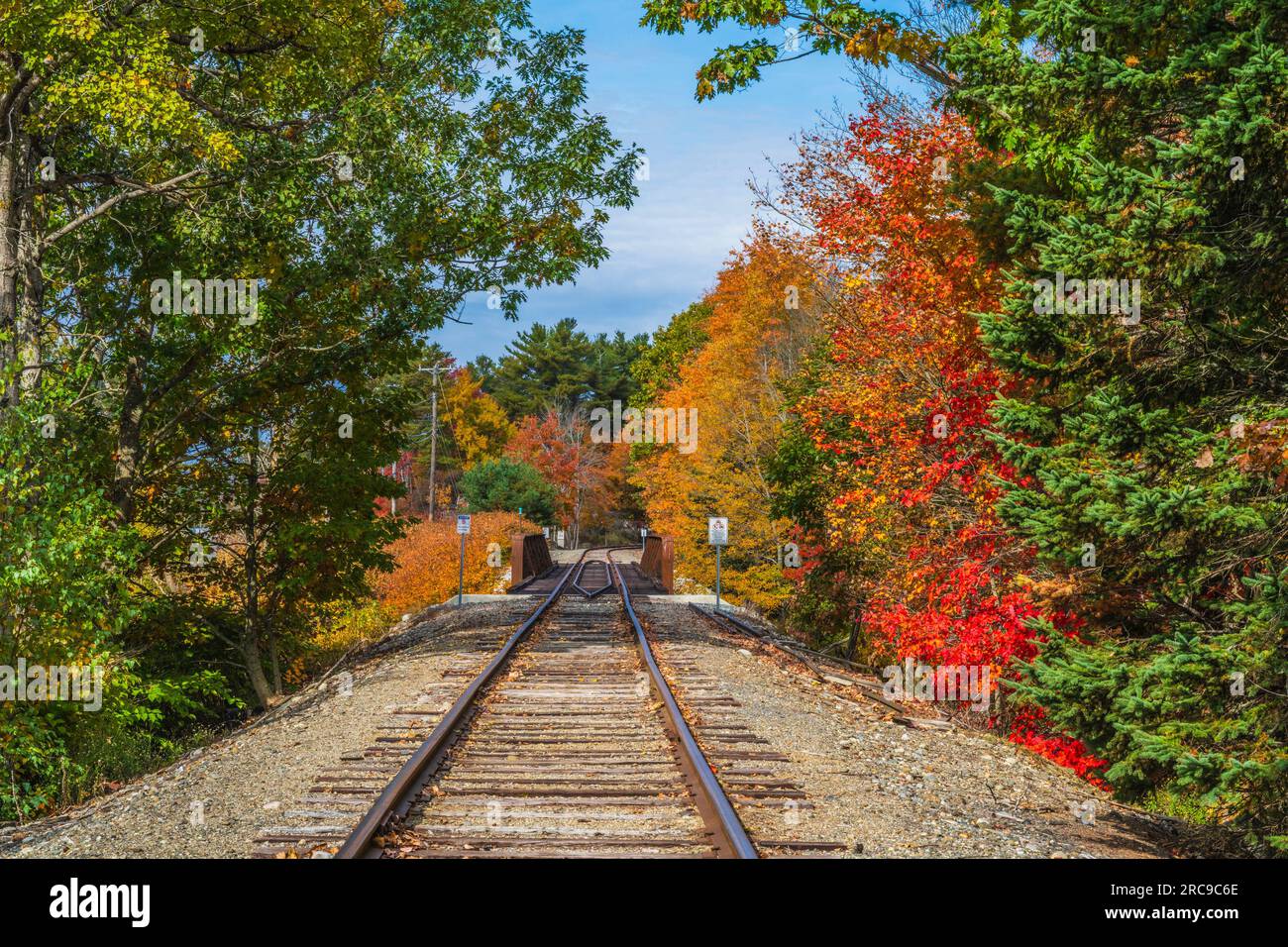 Herbstfarben auf Mount Desert Island in Maine. Stockfoto