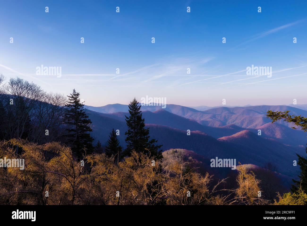 Vom Blue Ridge Parkway in North Carolina aus haben Sie am frühen Morgen einen Blick auf die Appalachen Stockfoto