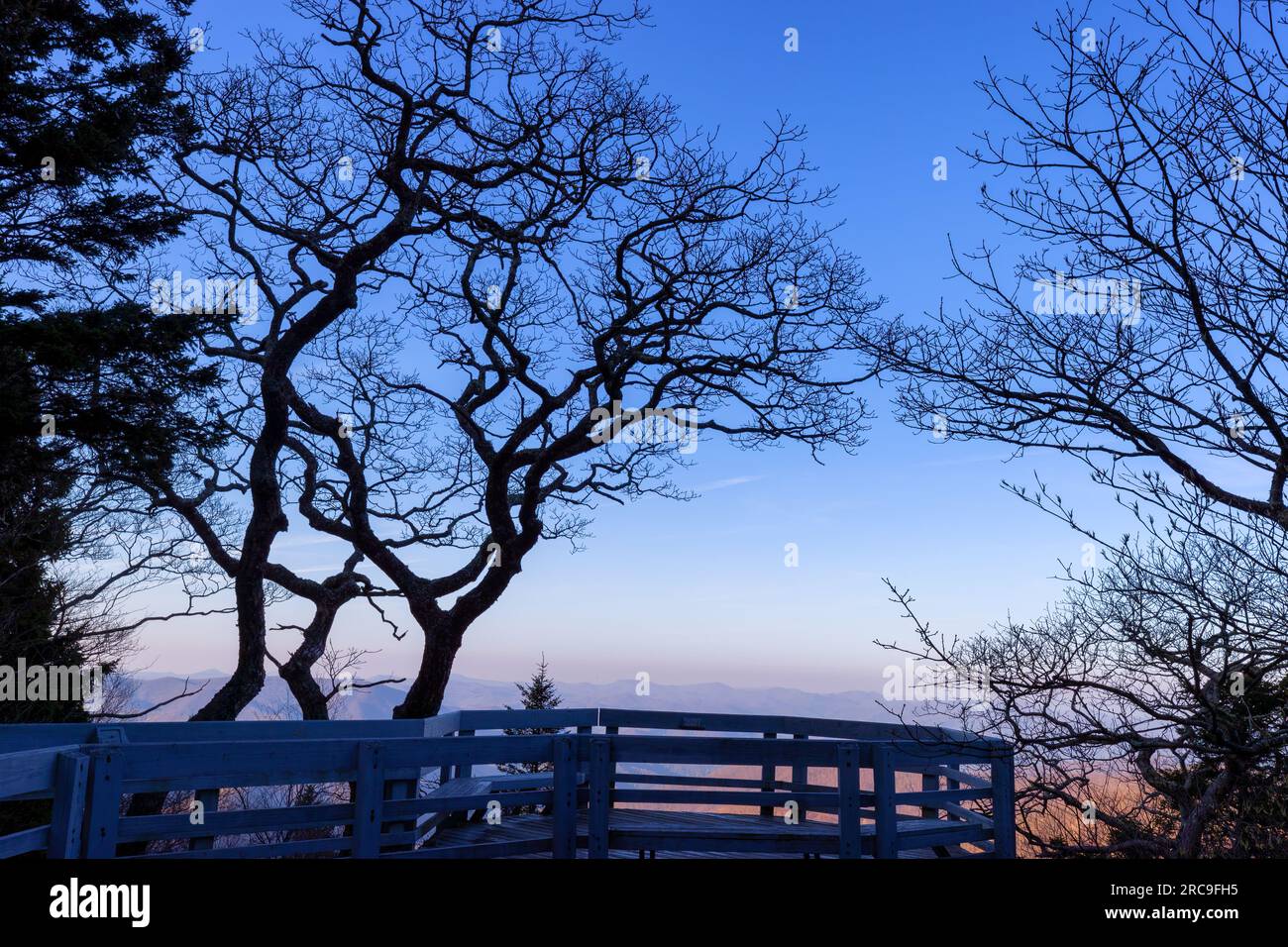 Blick am frühen Morgen neben einem Aussichtspunkt, wo Laubbäume auf dem hellen Himmel stehen. Stockfoto