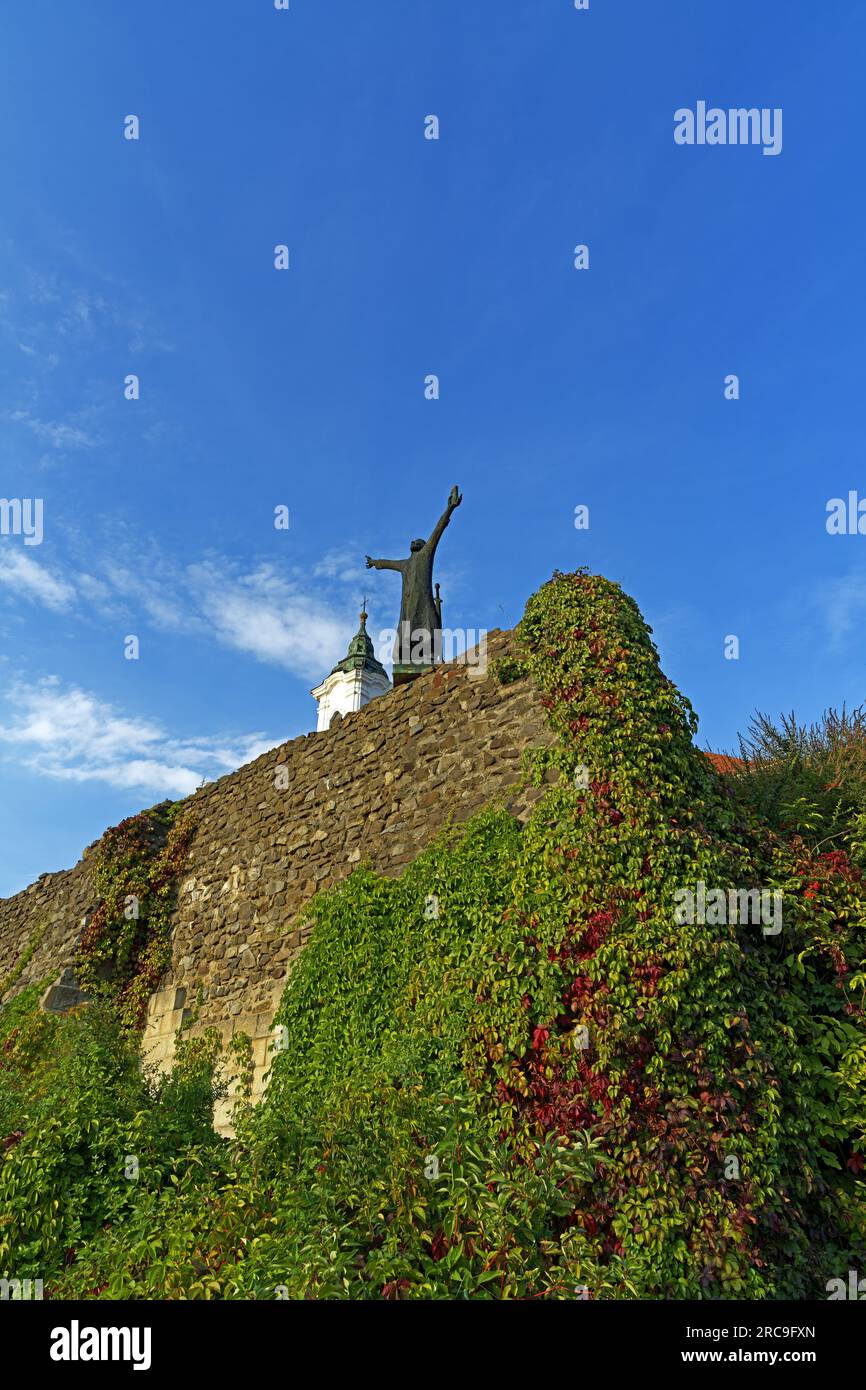 Burg Vác, Váci Vár, Kloster, Kirche, Váci Szent Kereszt Conferences templom, Skulptur, König Géza I. von Ungarn, I. Géza Kiraly Scobra Stockfoto