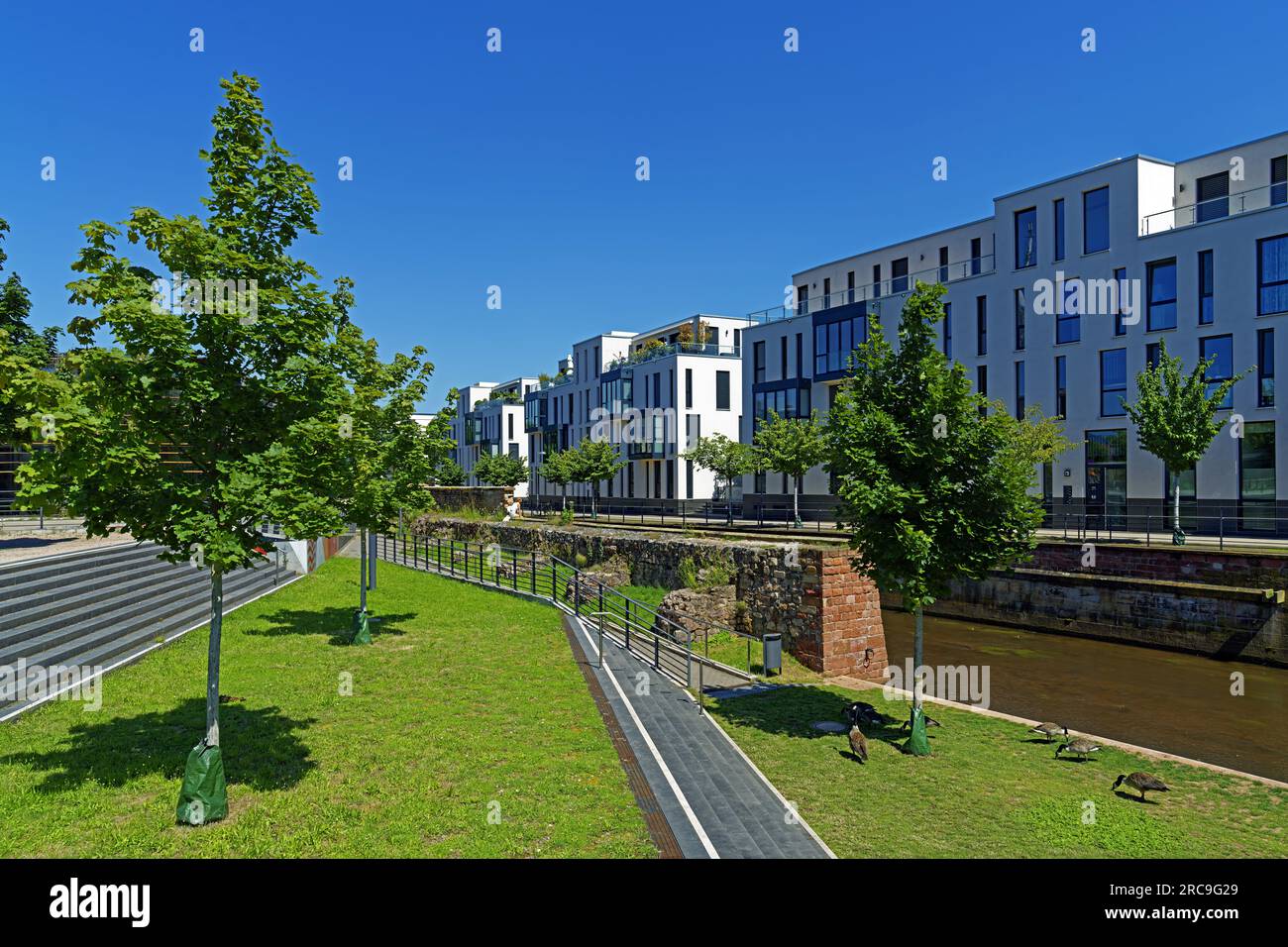 Fluß, Queich, kanalisiert, Architekt Vauban, Festung, Häuserzeile, Enten Stockfoto