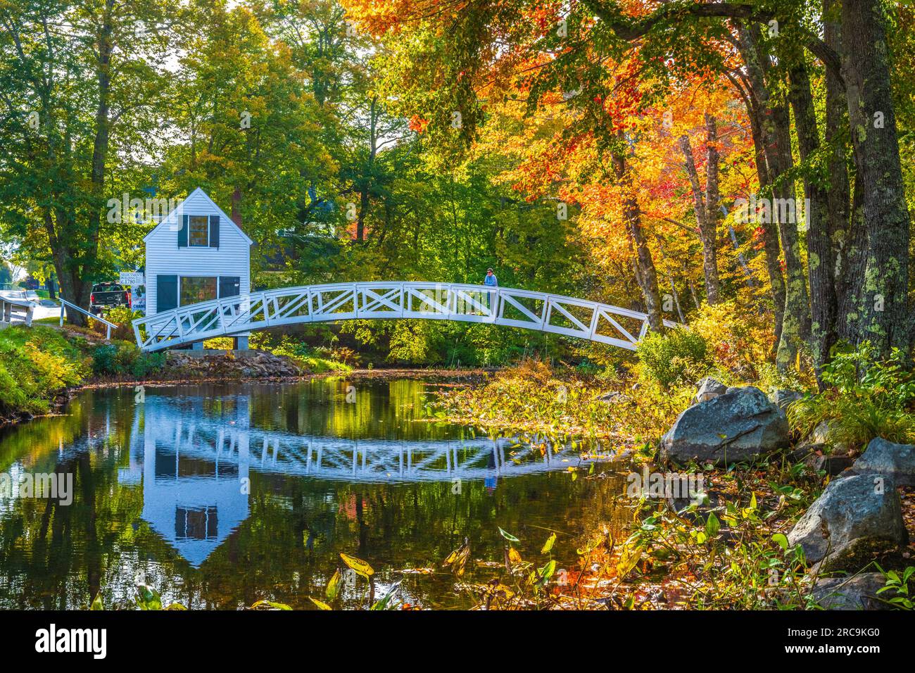 Herbstfarben auf Mount Desert Island in Maine. Stockfoto