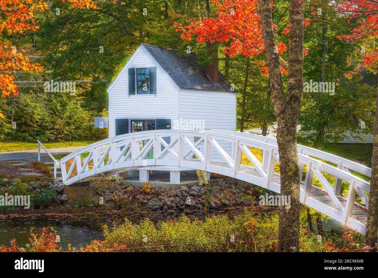 Herbstfarben auf Mount Desert Island in Maine. Stockfoto