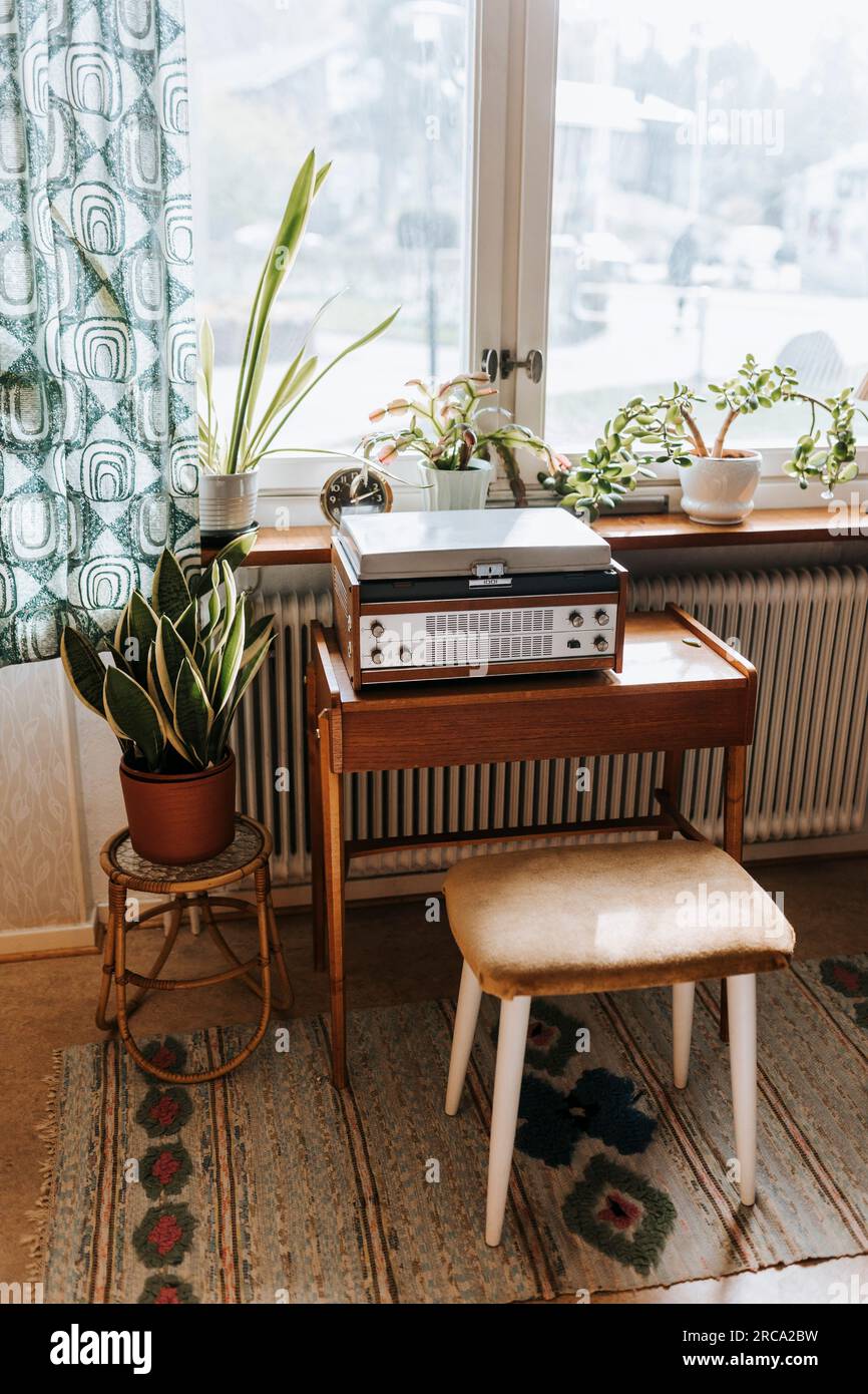 Audiogeräte und Pflanzen werden zu Hause auf einem Tisch arrangiert Stockfoto