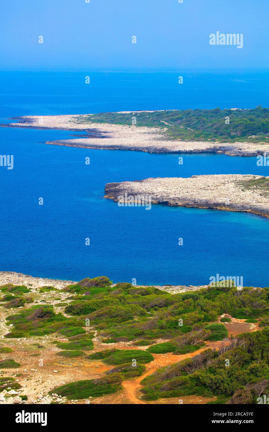 Panoramablick auf den Naturpark Porto Selvaggio von der Terrasse zum Gedenken an Renata Fonte, Nardò, Lecce, Apulien, Italien Stockfoto