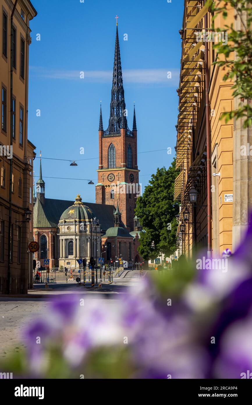 Ein Blick auf die Riddarholmen Kirche in Stockholm, Schweden an einem sonnigen Sommertag. Blumen sind im Vordergrund, der Kirchturm in der Ferne. Stockfoto