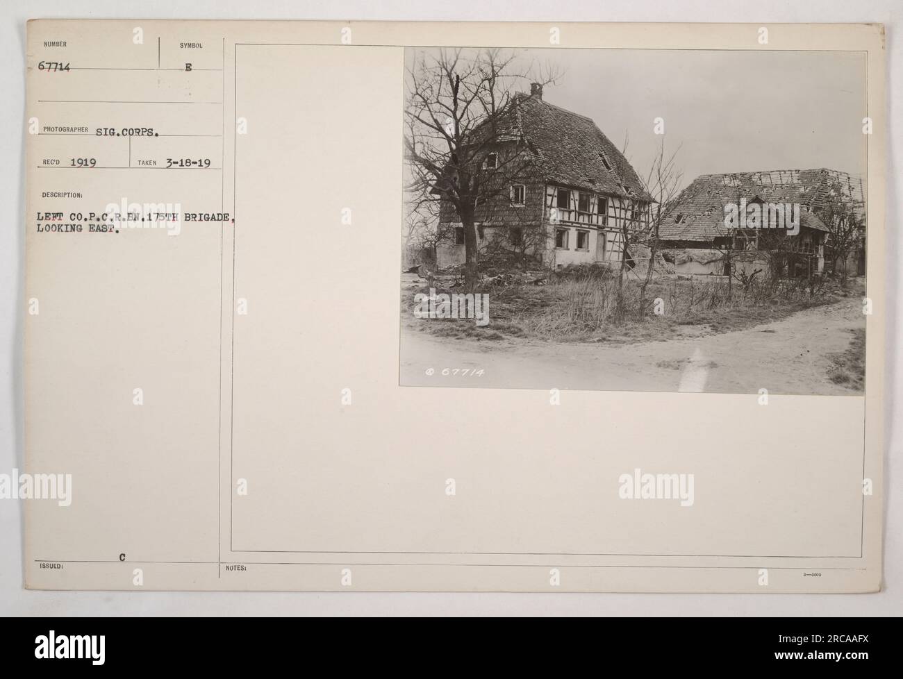 "Linke Kompanie des Pionier-Infanterie-Regiments, 175. Brigade, gesehen auf diesem Foto, aufgenommen vom Signal Corps. Das Foto wurde am 18. März 1919 aufgenommen und zeigt das Symbol „FORM E“ im Hintergrund. Die Aussicht geht nach Osten. Dokumentationsnummer für dieses Bild ist 67714 mit zusätzlichen Hinweisen 4+147.“ Stockfoto