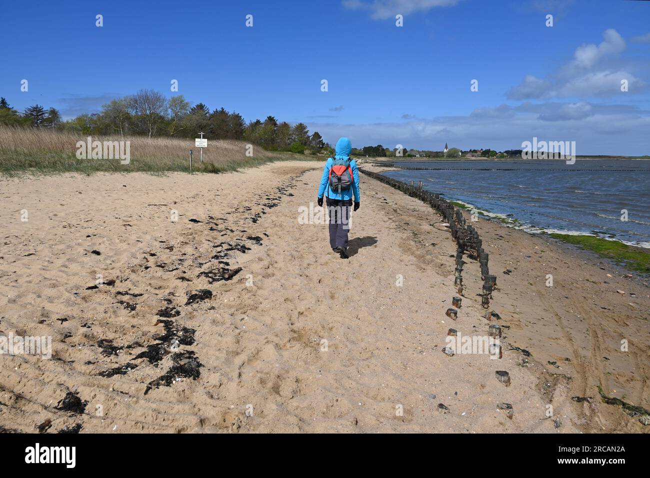 Spaziergang entlang eines Sandstrands am Wattenmeer in der Nähe von Nebel, Amrum, Deutschland Stockfoto