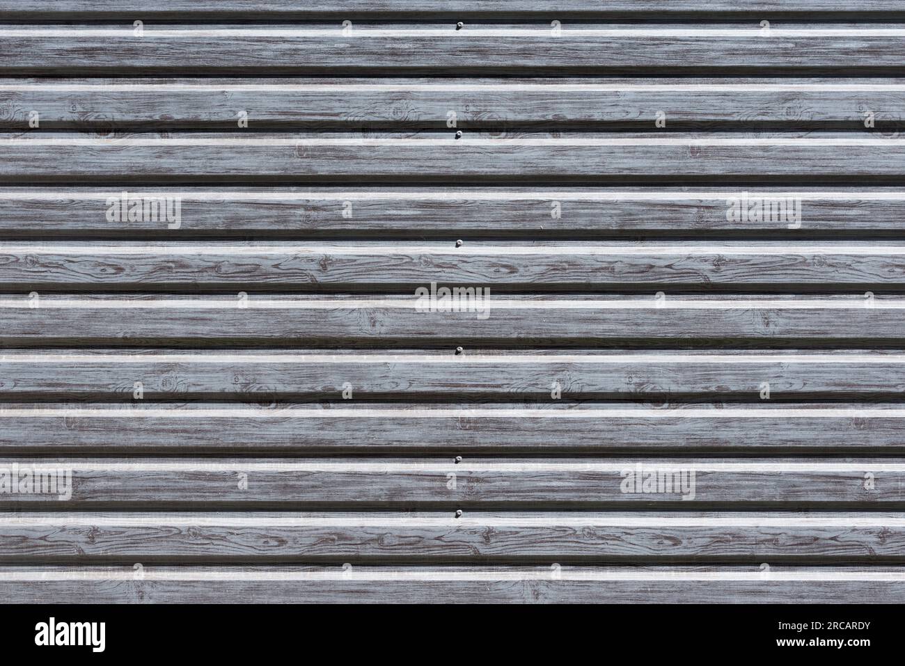 Nahaufnahme des neuen Holztexturhintergrunds. Stockfoto