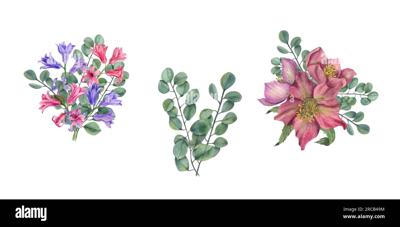 Aquarelle mit Hellebores, Eukalyptusästen, Hyazinthen. Botanische Darstellung von Frühlingsblumen isoliert auf Weiß. Stockfoto