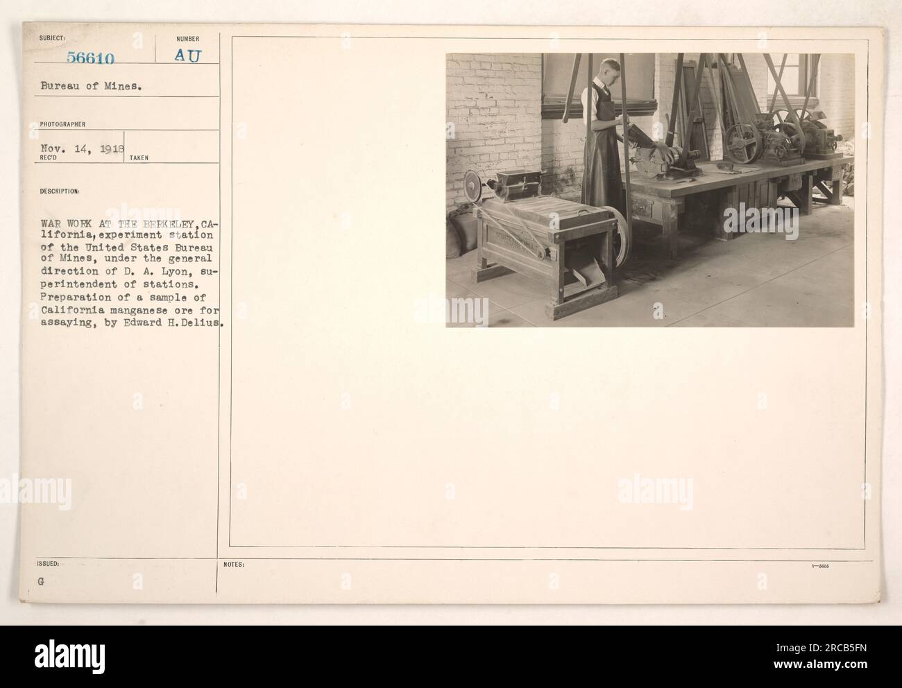 Ein Arbeiter der Experimentierstation in Berkeley, Kalifornien, des United States Bureau of Mines bereitet eine Probe von kalifornischem Manganerz für die Analyse vor. Der Mitarbeiter, Edward H. Delius, ist unter der Aufsicht des Staatsanwalts an Kriegsversuchen beteiligt Lyon, Stationsleiter. Das Foto wurde am 14. November 1918 aufgenommen. Stockfoto