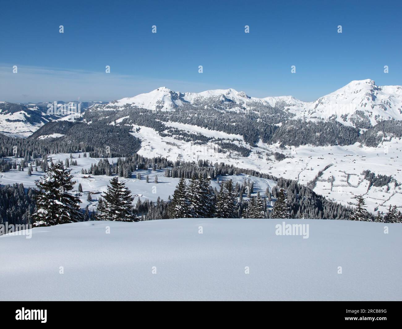 Wintertag in den Schweizer Alpen, Schneelandschaft Stockfoto