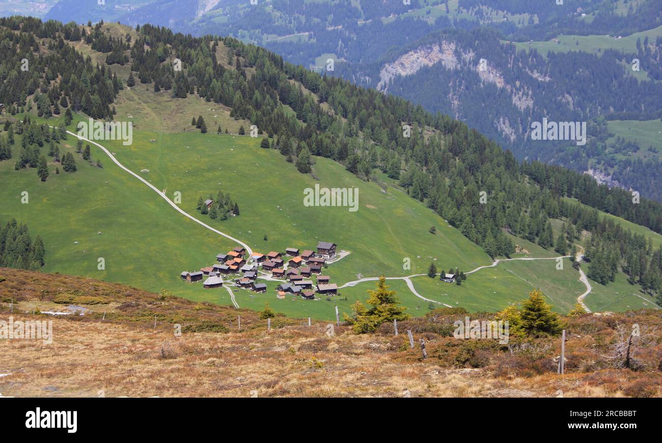 Blick auf das Dorf Obermutten. Frühsommer in den Schweizer Alpen Stockfoto