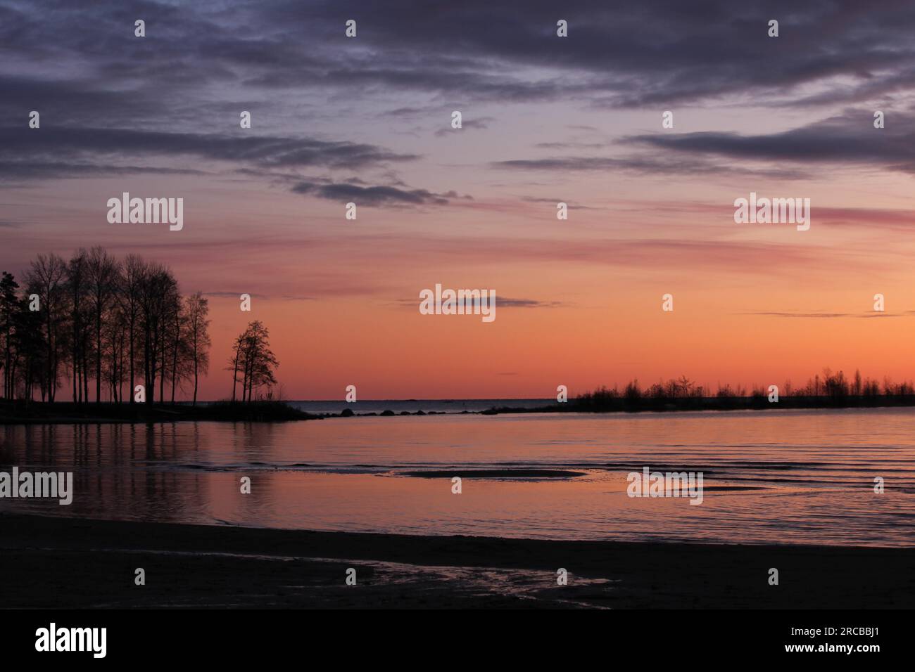 Heller Morgenhimmel und Bäume am Ufer des Lake Vanern, Schweden Stockfoto