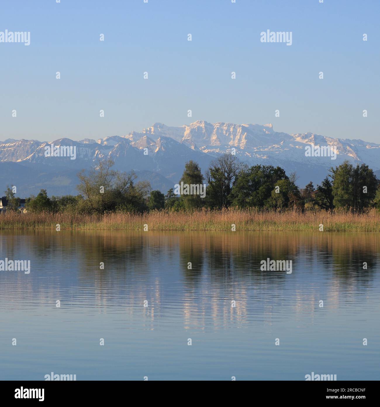 Idyllische Landschaft in der Nähe von Wetzikon, Schweiz Stockfoto